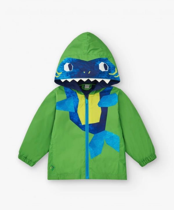 Boys green windbreaker